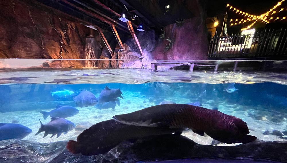 SEA LIFE Bangkok Ocean World