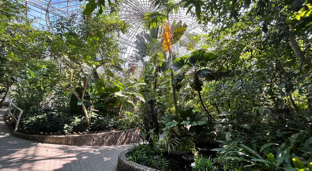 Wachirabenchathat Park